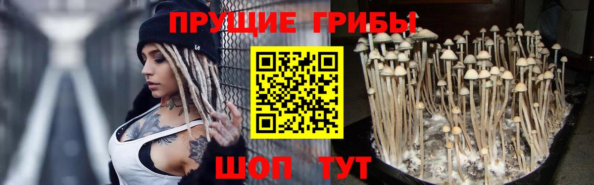 Галлюциногенные грибы мицелий Первоуральск